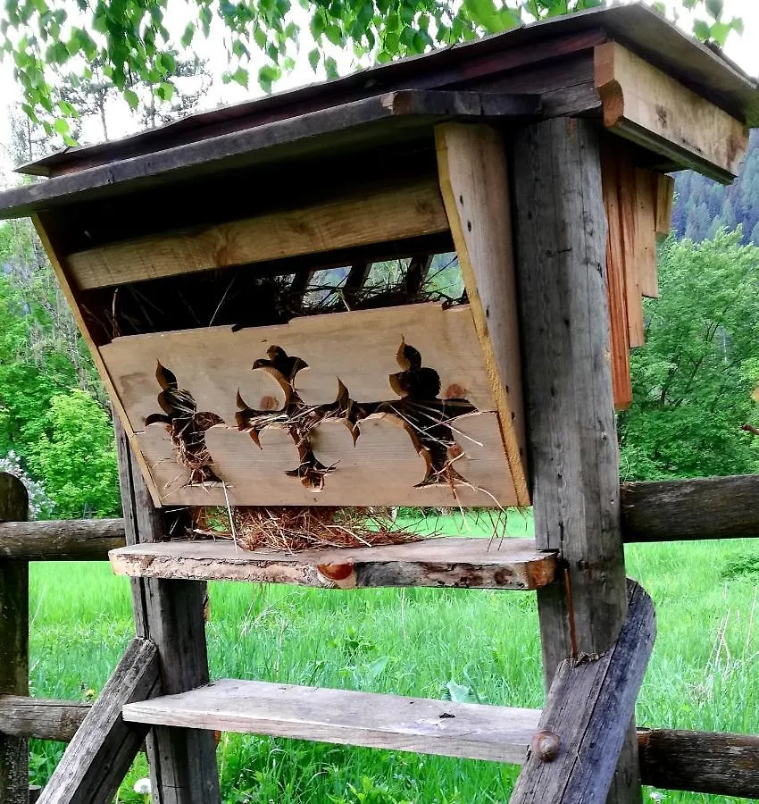 Ferienwohnung Casa Amabile San Vito di Cadore
